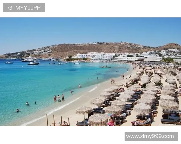 追逐足球明星的女生们如何在热爱与梦想中找到自我与幸福